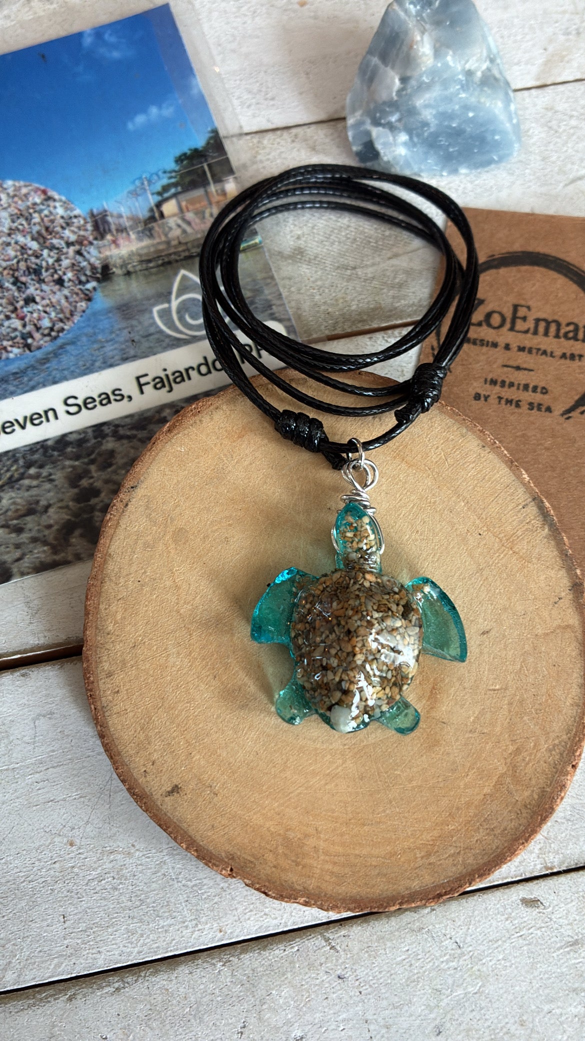 Ocean Turtle