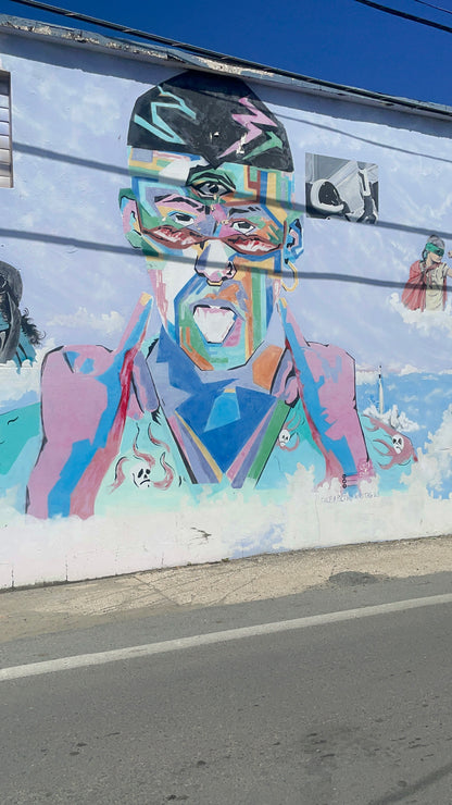 Vega Baja PR, Puerto Nuevo