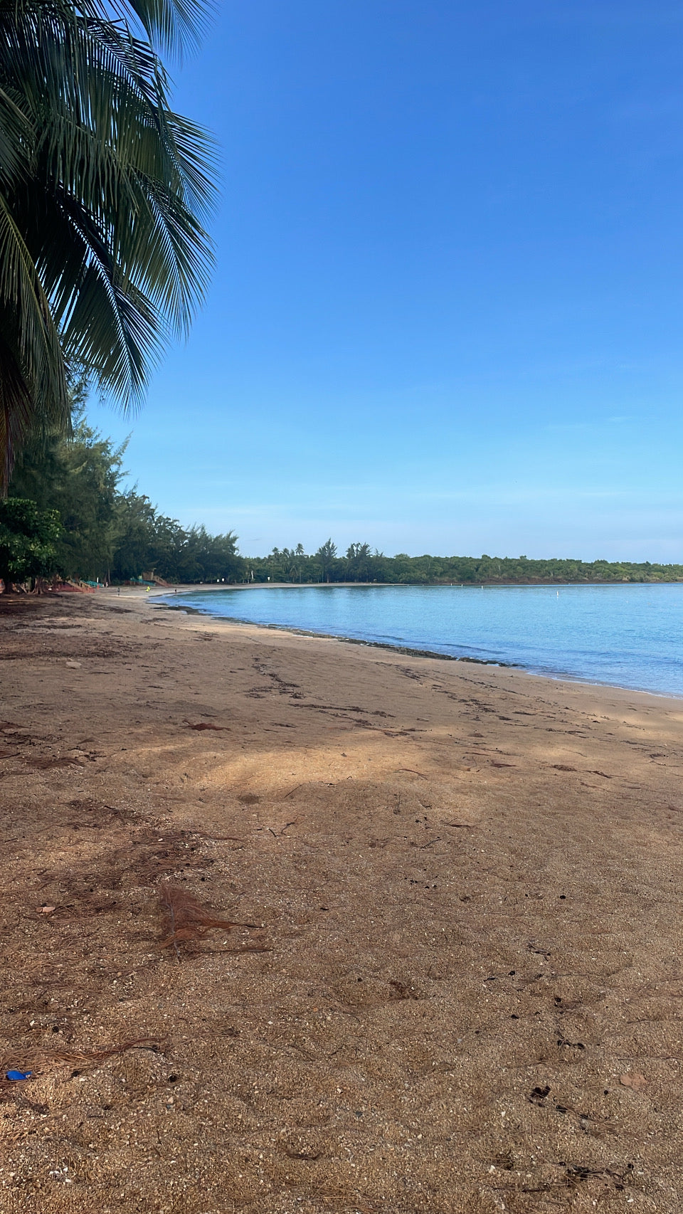 Fajardo PR, Seven Seas