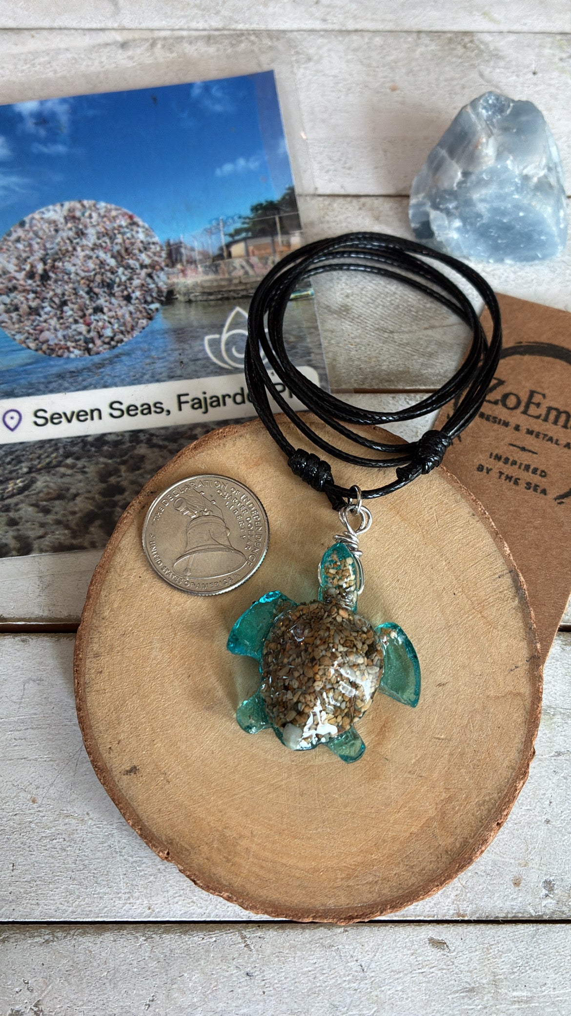 Ocean Turtle