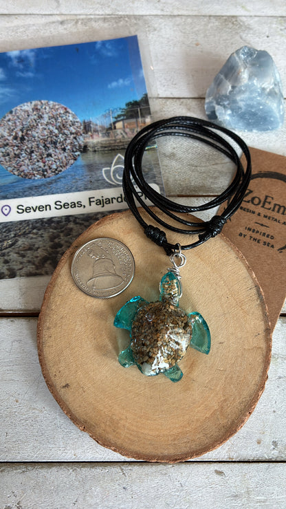 Ocean Turtle