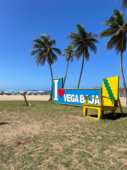 Vega Baja PR, Puerto Nuevo