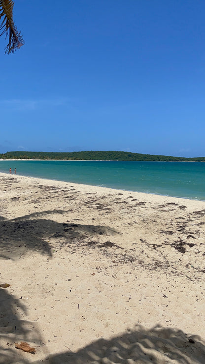 Vieques , Sun Bay Beach
