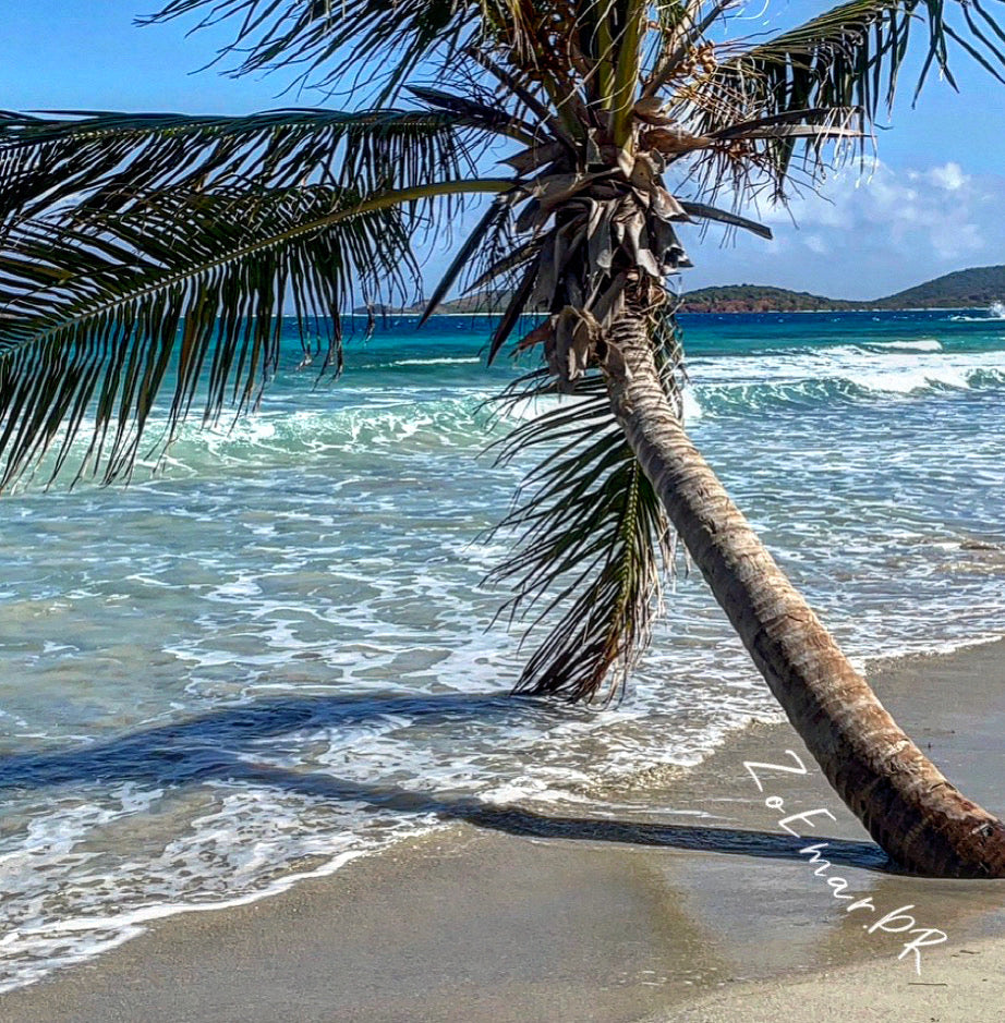 Culebras PR, Zony Beach
