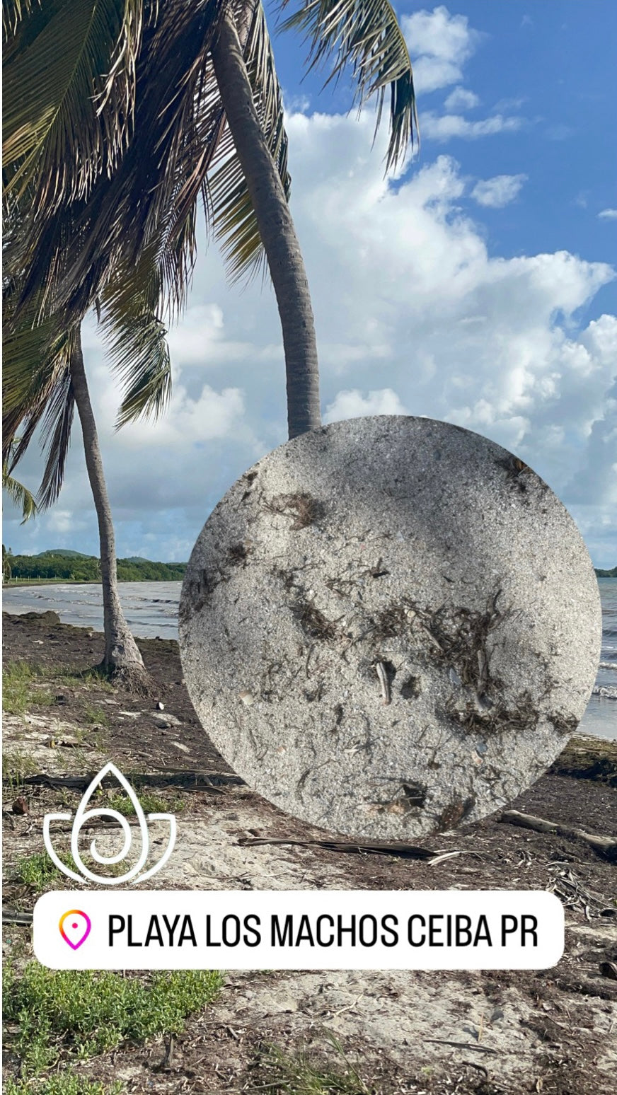 Ceiba PR, Los Machos