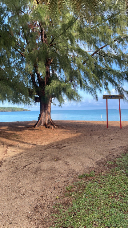 Fajardo PR, Seven Seas