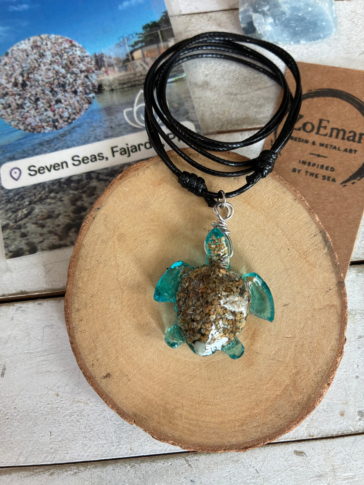 Ocean Turtle