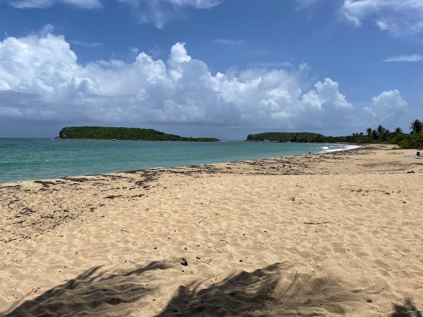 Vieques , Sun Bay Beach