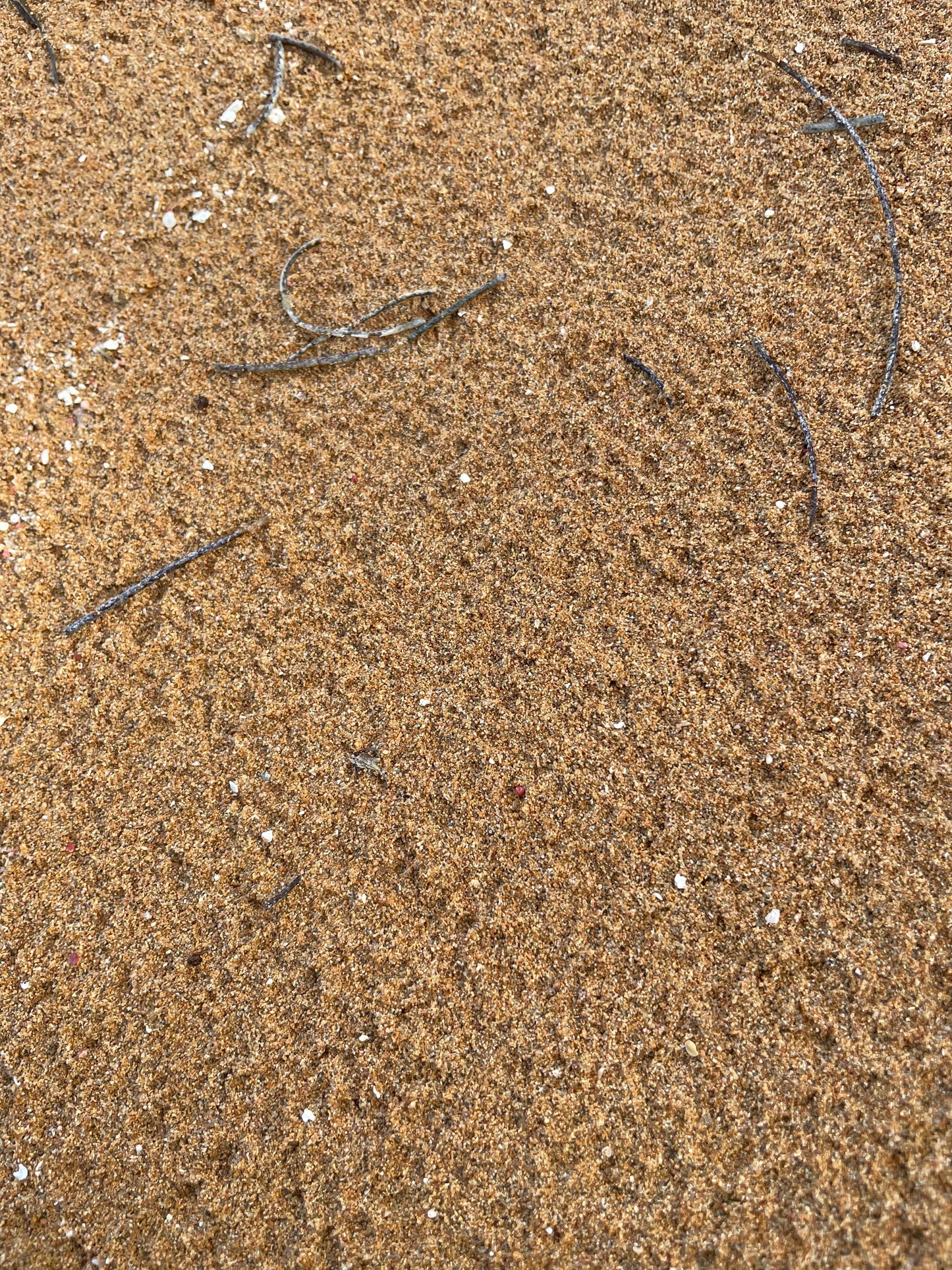 Fajardo PR, Playa Escondida
