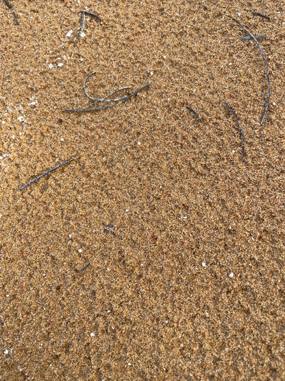Fajardo PR, Playa Escondida