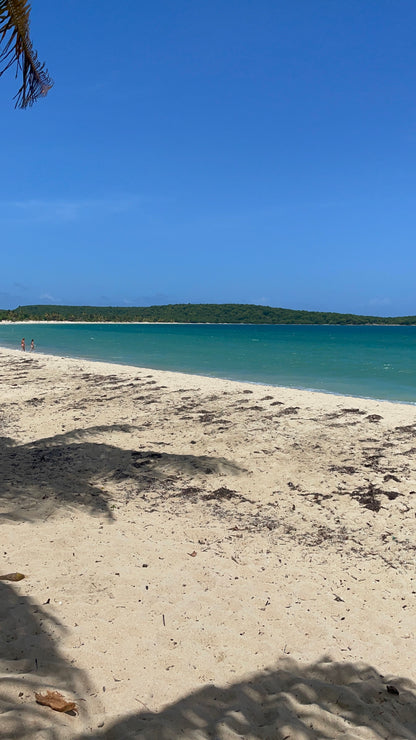 Vieques , Sun Bay Beach