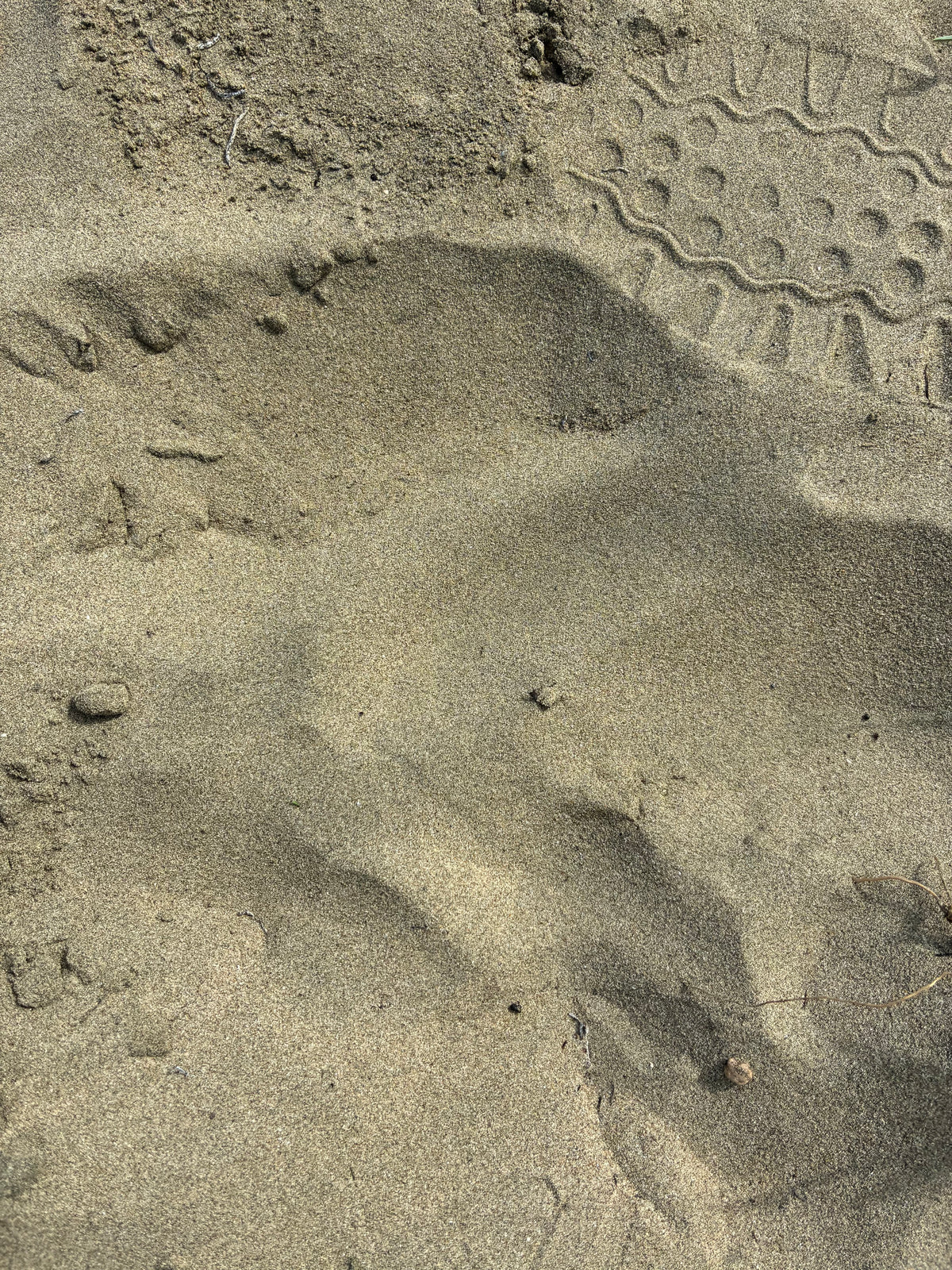 Arroyo, Punta Guilarte Beach