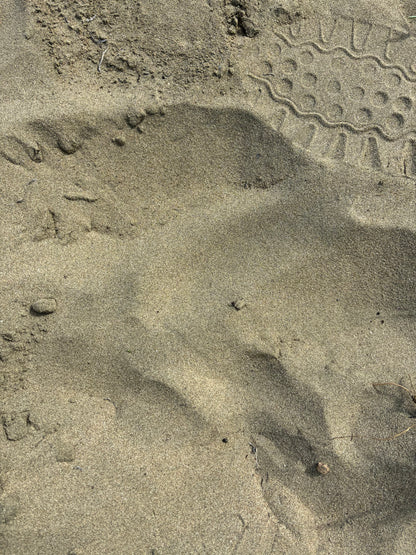 Arroyo, Punta Guilarte Beach