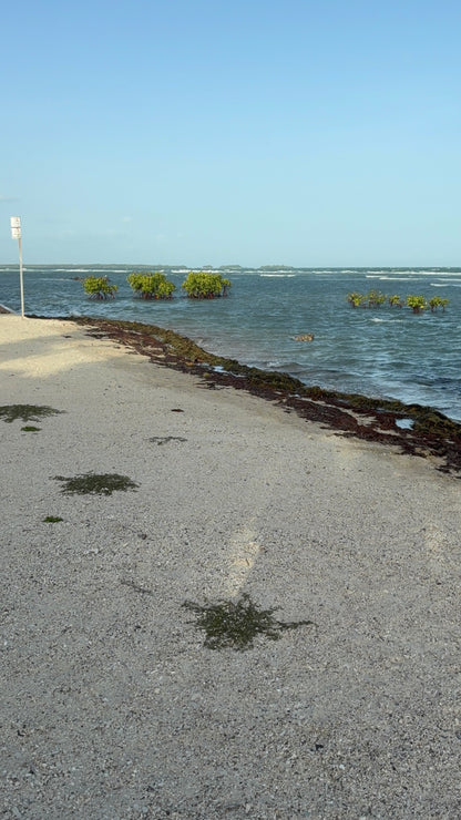 Ponce, La Guancha Beach