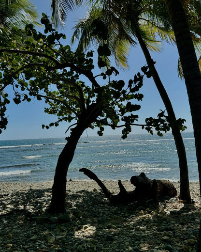 Patillas PR, Playa las Pocitas